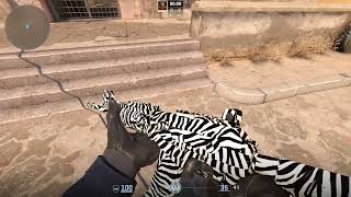 Glory of God: Majestic Stripes Zebra