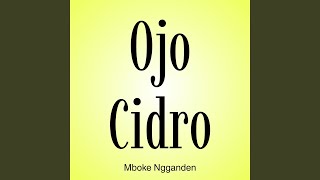 Ojo Cidro