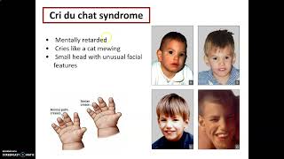 LECTURE CHAPTER 7 MUTATION PART 6