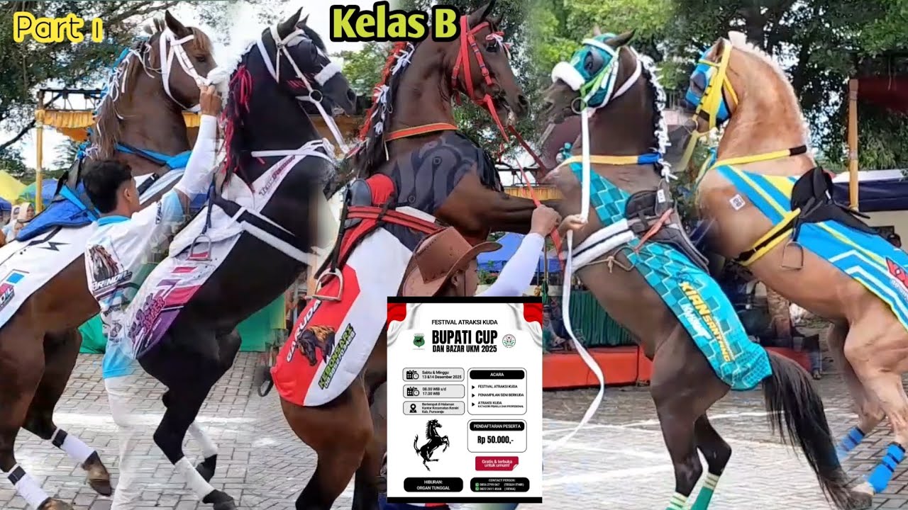 KELAS B ATRAKSI KUDA JINGKRAK BUPATI CUP PURWOREJO