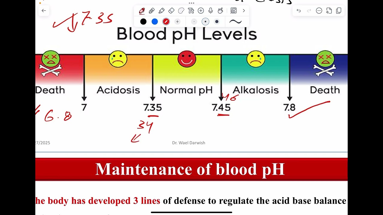 شرح كيمياء طبية المحاضرة الثالثة توزان الاحماض والقواعد جامعة المعقل كلية طب الاسنان
