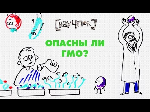 Опасны ли ГМО? — НАУЧПОК