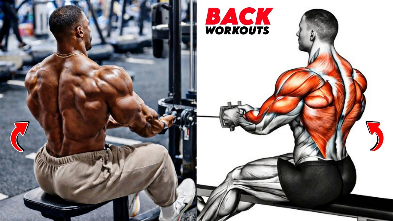 8 невероятных упражнений для спины, которые быстро накачают мощную, широкую и сильную спину 🔥