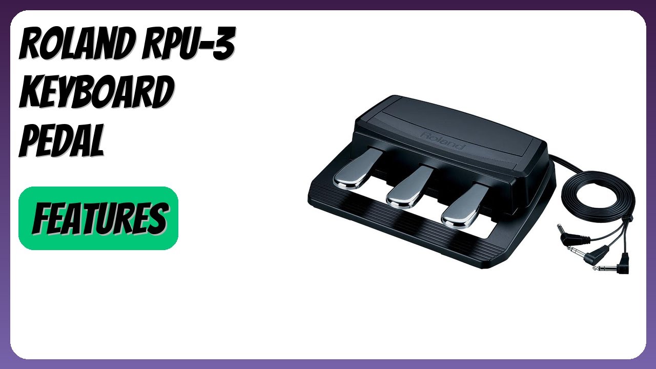 Roland RPU-3ペダルユニット 楽天市場】ローランド ペダル ユニット RPU-3 : 楽器のことならメリー