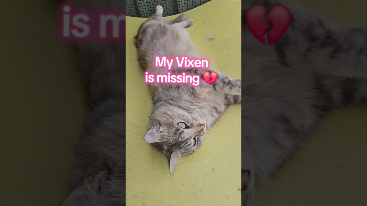 Thank You For Understanding 🫶 