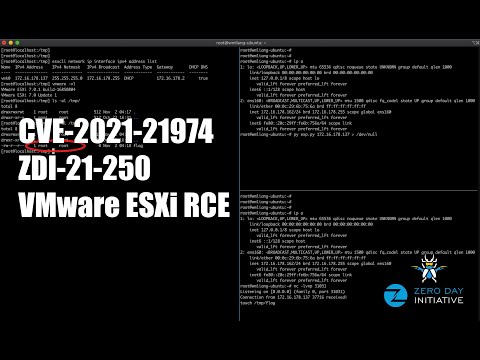 CVE-2021-21974: Demonstrating Remote Code Execution on VMware ESXi Server