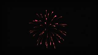 4' Red strobe willow