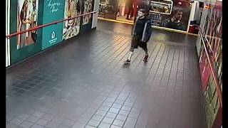 Transit Police Seek Help in Identifying the Suspect in a Hate Crime on SkyTrain