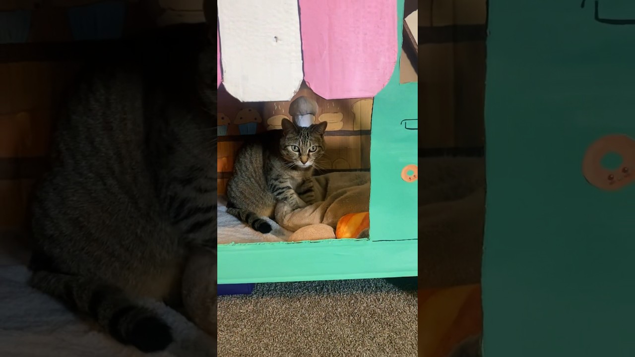 El panadero con el pan 🍞 