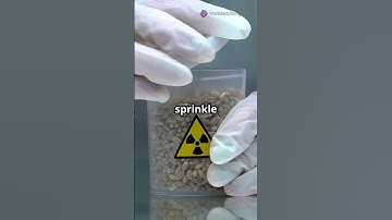 Top 10 Deadliest Chemicals You Must Avoid!