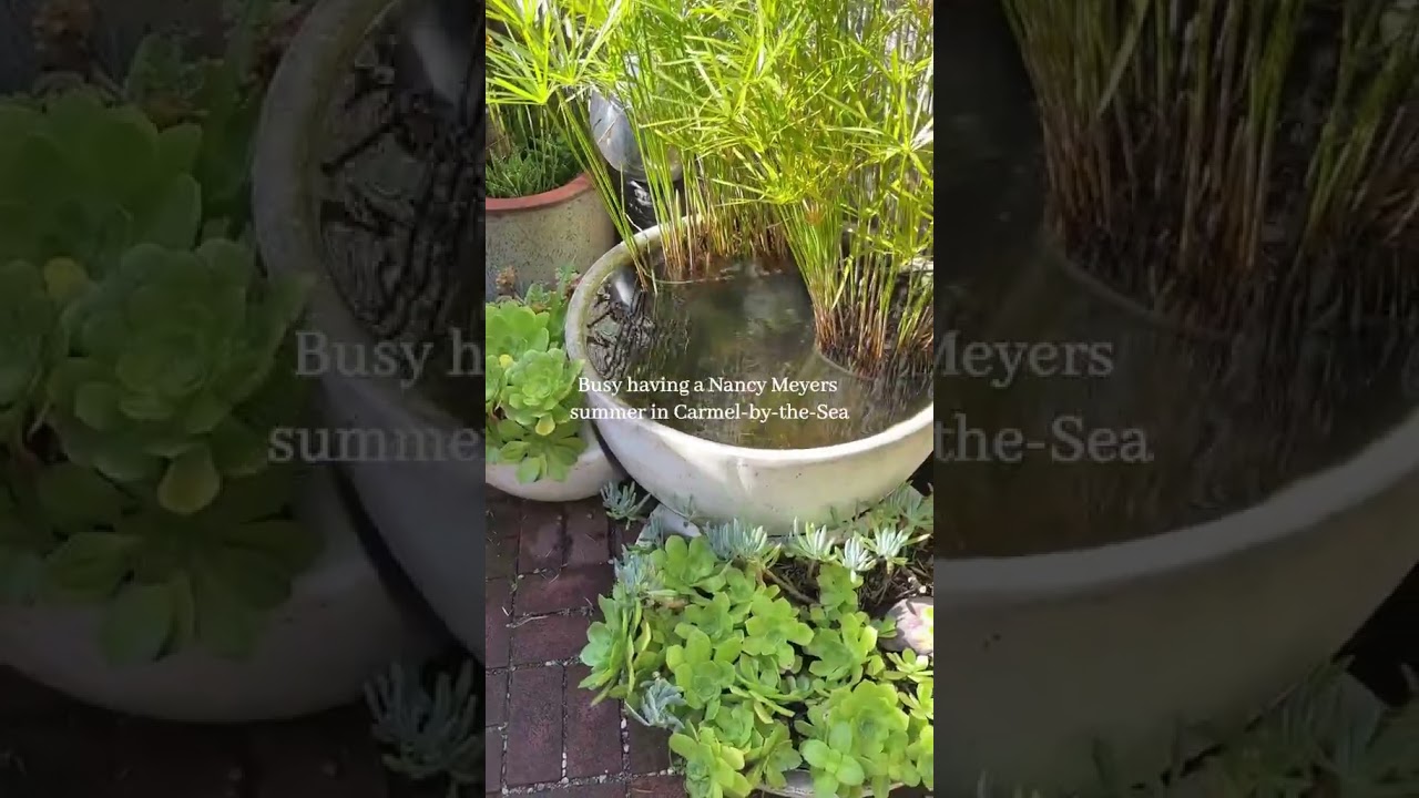 A Nancy Meyers Summer