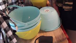 Evelyns Diy Method Of Starting Bulbs