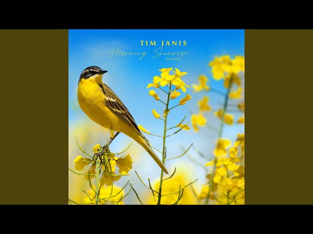 Tim Janis - Fairest Lord Jesus