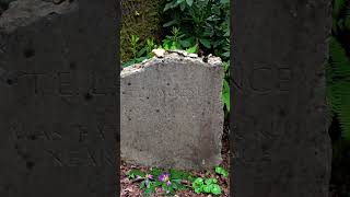 THERE ARE TWO LAWRENCE OF ARABIA MEMORIAL STONES
Walking the Lawrence of Arabia Trail in Dorset !
So many wonders in a seven mile walk ?
Amazing walk !
@jameswalksinhistory3848
#discovery #hiddenhistory #historychannel
Copy and paste link for walk route https://www.dorsetcouncil.gov.uk/w/lawrence-of-arabia-trail THERE ARE TWO LAWRENCE OF ARABIA MEMORIAL STONES