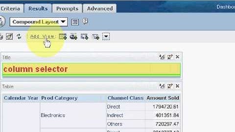 Column Selector in dashboards.. in obiee