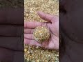 Healthy Peanut Laddu♥️✨#health #sweet #laddu #shorts