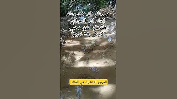 اعلموا أن الله يحيي الأرْضَ بَعْدَ مَوْتِهَا قد بينا لكم الآيات #القرآن_الكريم #shortvideo #اكسبلور