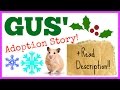GUS&#39; Adoption Story! (READ DESCRIPTION!!!)