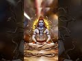 #shivamritdhara#bholenath#mahakaal#shortsvideo#subscribe