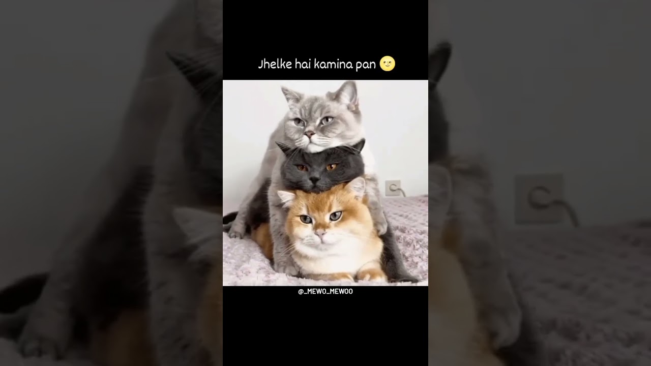 Sawaal Zindagi Ka 😵‍💫🔥 | 