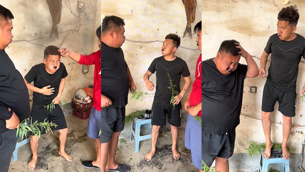 Coconut shell powder is ready to take on the challenge, willow twig version#funny#hilarious