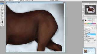 Arabian Horse, Speed Panting