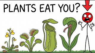 What It's Like to Be Eaten by  deadliest Carnivorous Plants