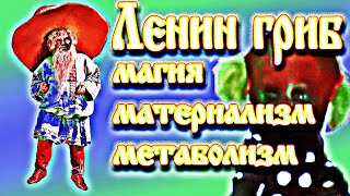 Ленин гриб: магия, материализм и метаболизм