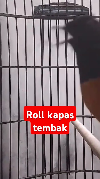 Murai batu isian istimewa