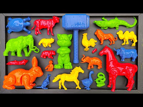 CLEANING: Cow, Elephant, Mammoth, Chimpanzee, Rabbit, Crocodile, Chicken, Duck, Snake, Kangaroo.