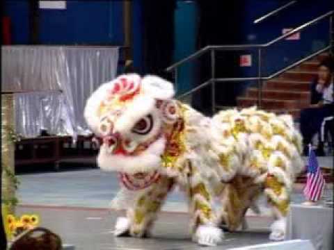 Finalist 8 - Hong Kong Lion Dance, CHINA.