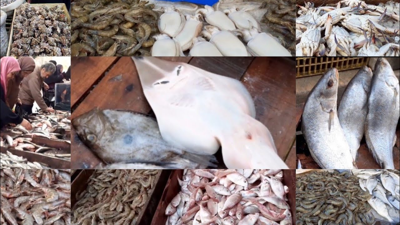 سوق العصافرة وابوخروف سوق غريب جدا لقيت حاجات غريبه في الاسماك والقواقع اوعى يفوتك العرض