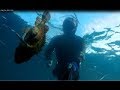 #подводнаяохотакрым#Крым 2019  Подводная охота в Саду камней