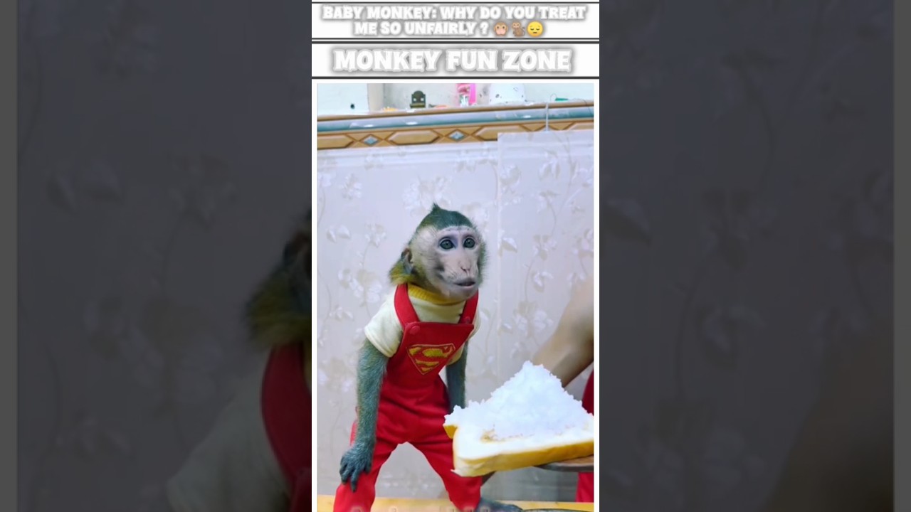 baby monkey: why do you treat me so unfairly? 🐒🐒😔 