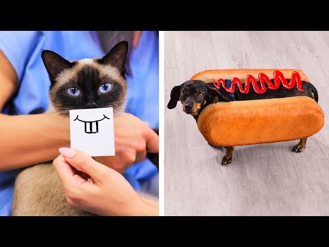 Video: 17 piezas de decoración inspirada en los perritos para el padre perro de Doting