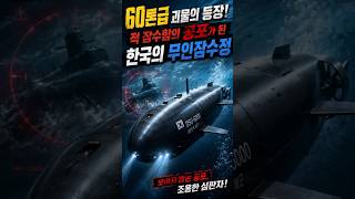 Navy sea GHOST, 한국의 무인잠수정!