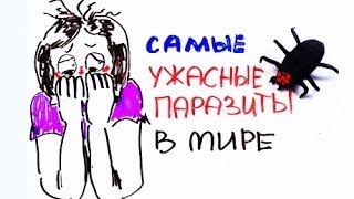 Научпок - Паразиты Научпок - Паразиты