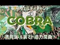 【満員ゴール裏で圧巻魔曲チャント】『COBRA』(東京ヴェルディ)味の素スタジアム