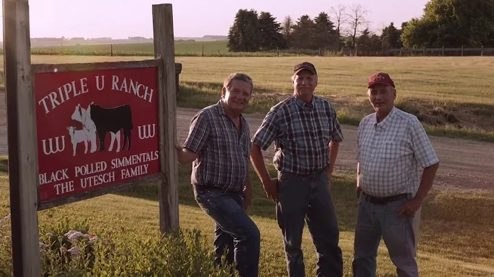 Iowa Cattle Farmers: The Utesch Family