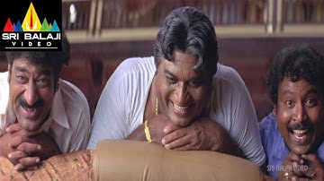 Yamadonga Movie Jr.NTR Comedy Scene | Jr NTR, Priyamani, Mamta Mohandas | Sri Balaji Video