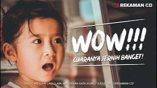 Download lagu Terendap Laraku - Naff Topic