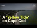 Cape Cod Has a Big Problem Simmering Just Below Its Surface