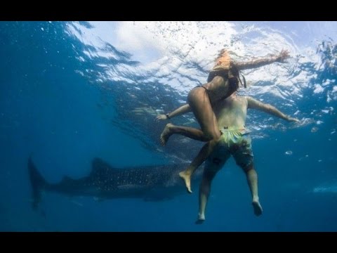 I caught a shark with his bare hands 2017 поймал акулу голыми руками 2017