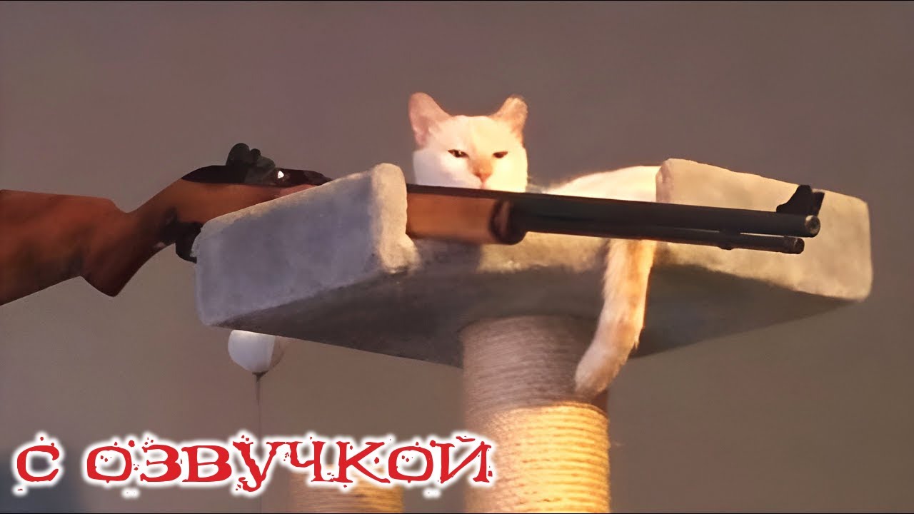 ⁣Приколы с котами! С ОЗВУЧКОЙ! Любимые смешные животные! СМЕШНЫЕ ВИДЕО про котов и собак!