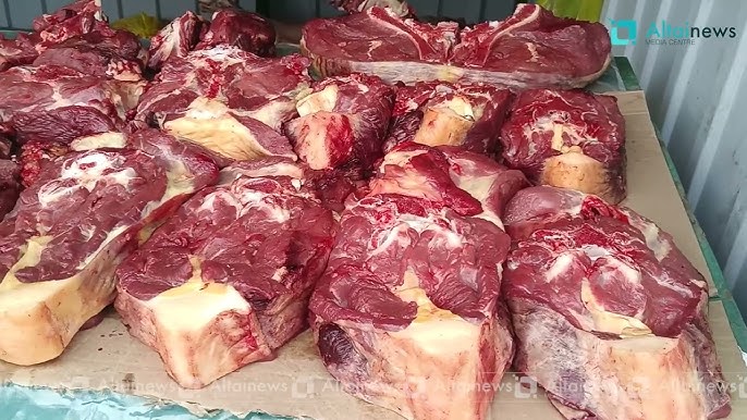 Новый Уренгойдағы жезөкшенің суреті