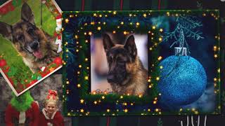 2019 Annual GSD Holiday Video 1080p by GSD Video 21 views 3 years ago 4 minutes, 50 seconds