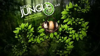 Sound - Interface Beep Up | AudioJungle Download