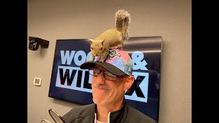 Twiggy The Waterskiing Squirrel Joins Us In Studio!