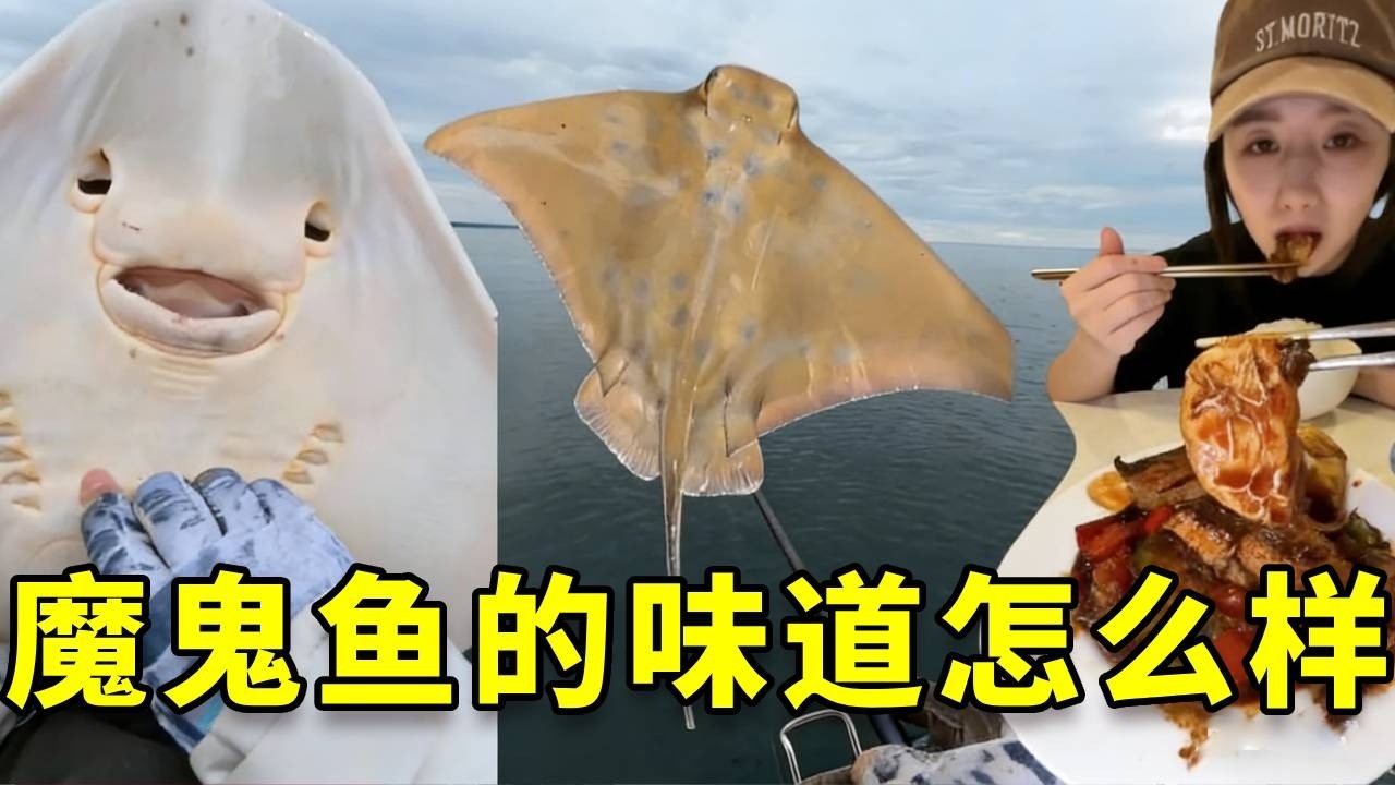 澳大利亚一年一度的魔鬼鱼捕捞季到了，我带女友尝尝传说中的魔鬼鱼到底是什么味道？ #大豪夫妇 #fishing #大魚 #戶外 #魔鬼鱼