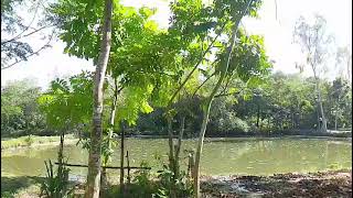 Love Waali Feeling  Arijit Singh Vishal Mishra Sachetpardanara Jubin Nautiyal Payal Dev